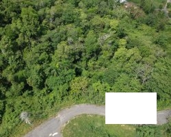 5 B lote 1394m