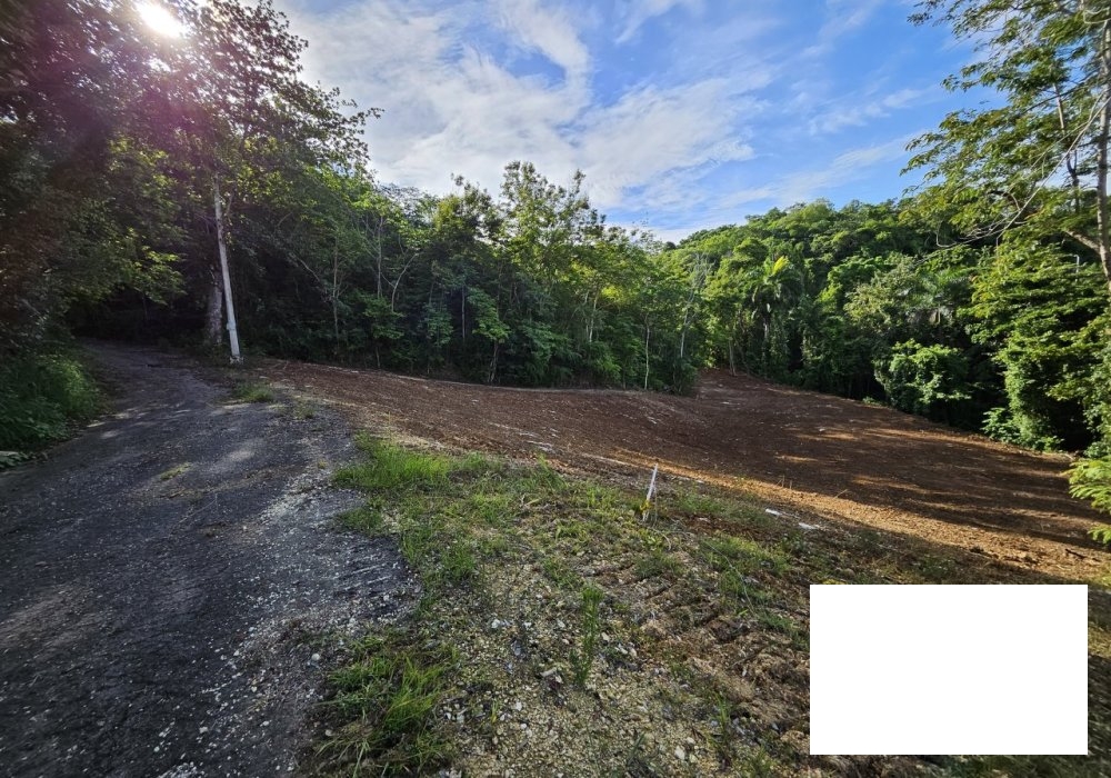 Land ready to be built!
