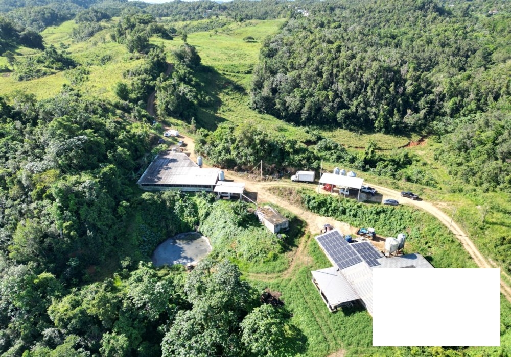Agrotourism-Ready 36-Acre Farm in Prime Location