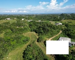dji_fly_20221114_141400_317_1668652679074_photo