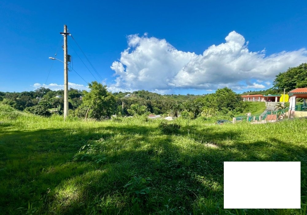 Perfect opportunity to own your piece of paradise with this prime land for sale