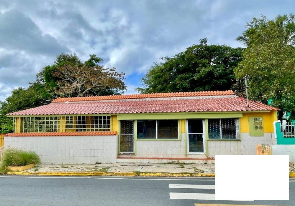 Commercial Property Downtown Aguada