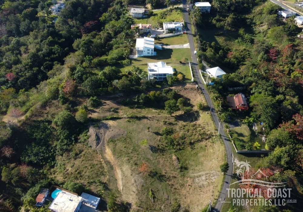 DJI_0943-2 DJI_0943-2