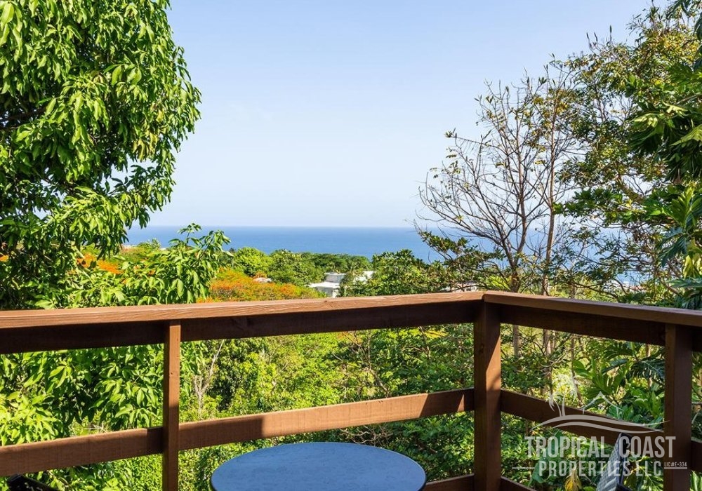 Luxury meets nature in the treetops, steps from the surf.