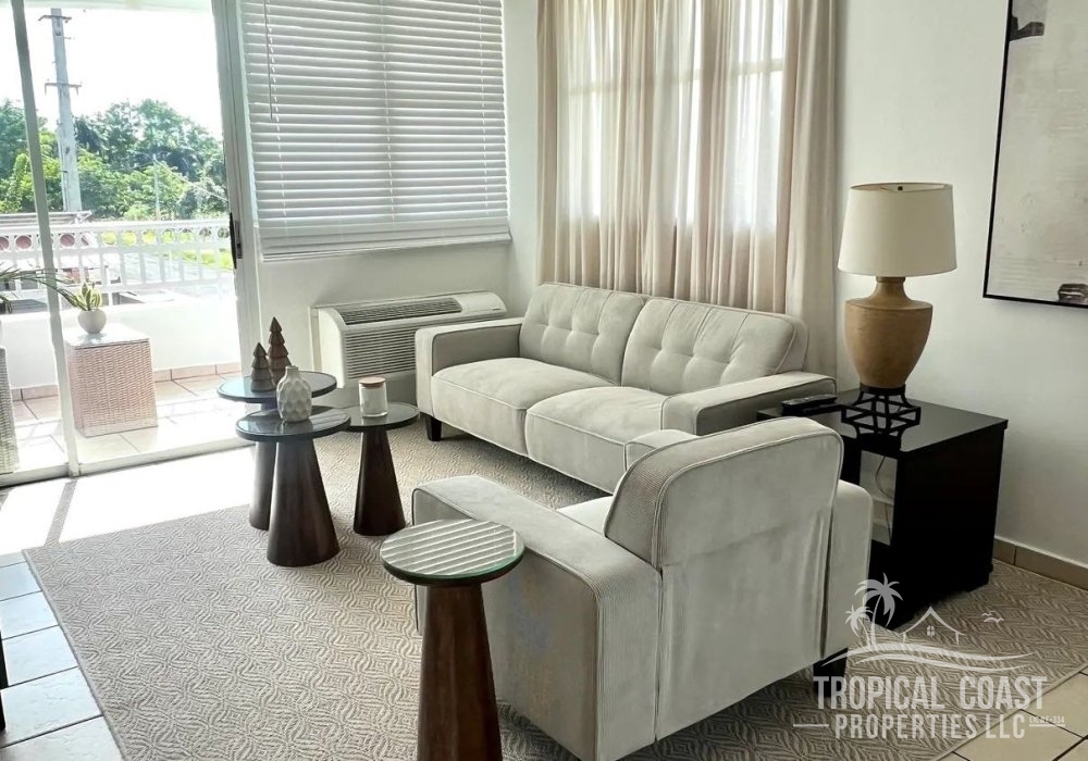 Fully Furnished Luxury Apartment 