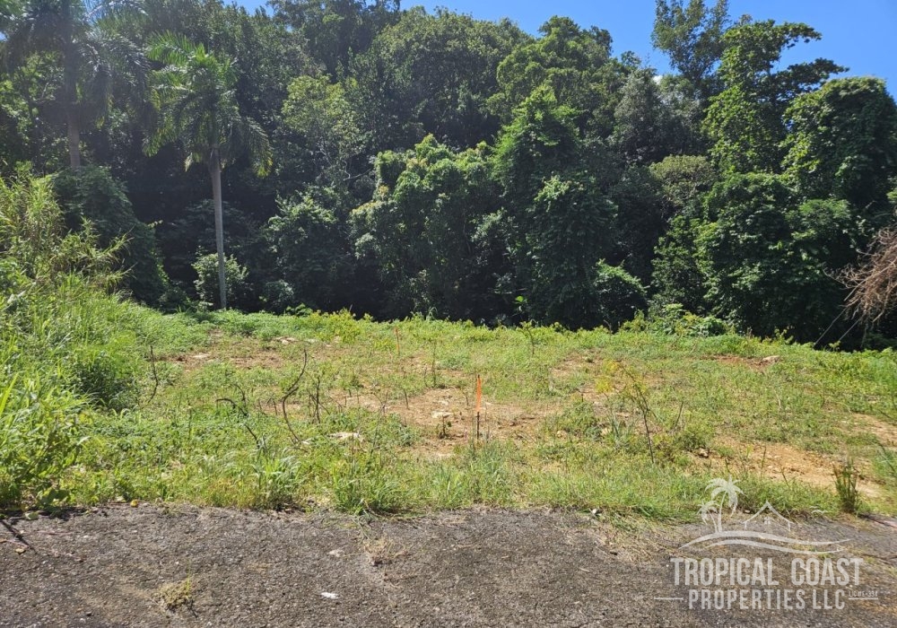 Excellent location, the ideal place for your new home